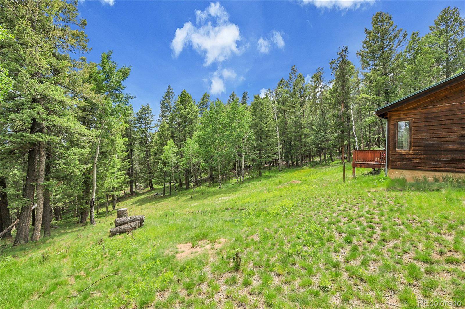 Conifer, CO 80433,30122 Nancys LN