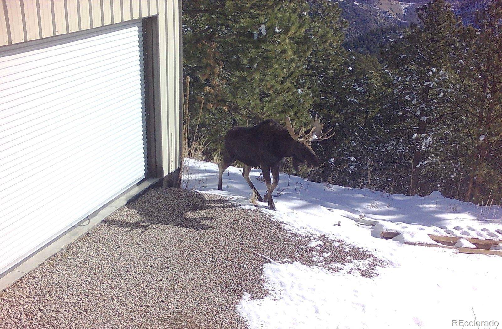 Golden, CO 80403,8077 Drew Hill RD