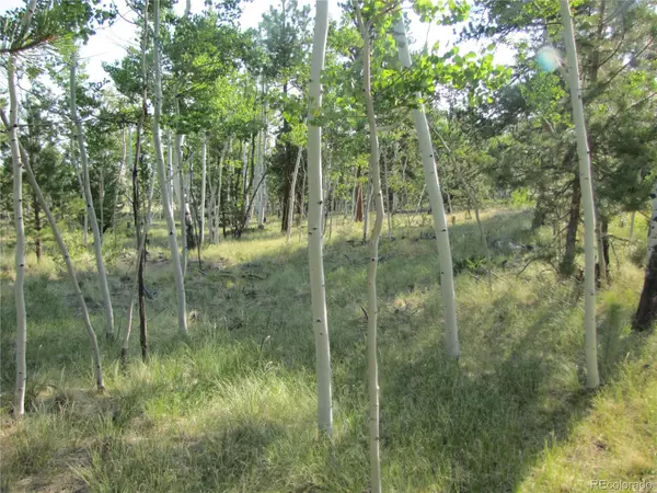 Hartsel, CO 80449,9798 Ranch RD