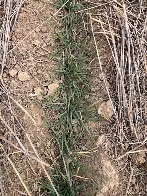 Bennett, CO 80102,TBD E 112th AVE