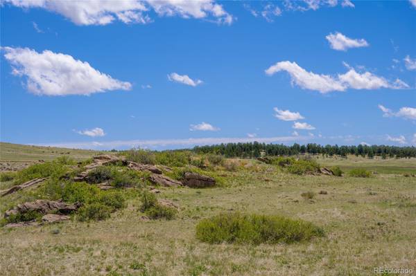 Parcel D Amethyst RD, Deer Trail, CO 80105