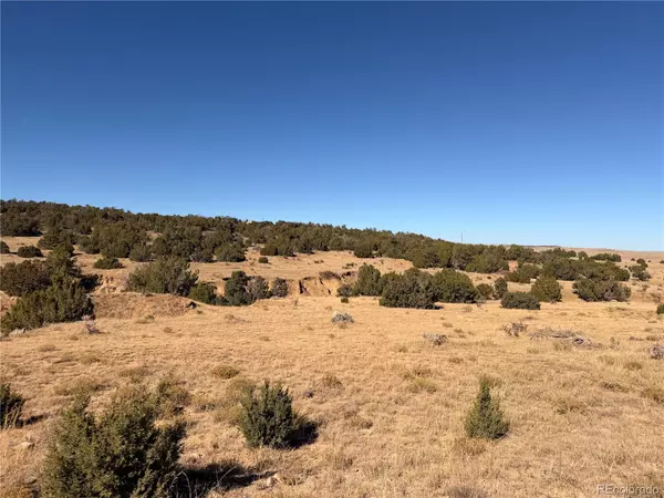 Walsenburg, CO 81089,Lot 537 RIO CUCHARAS