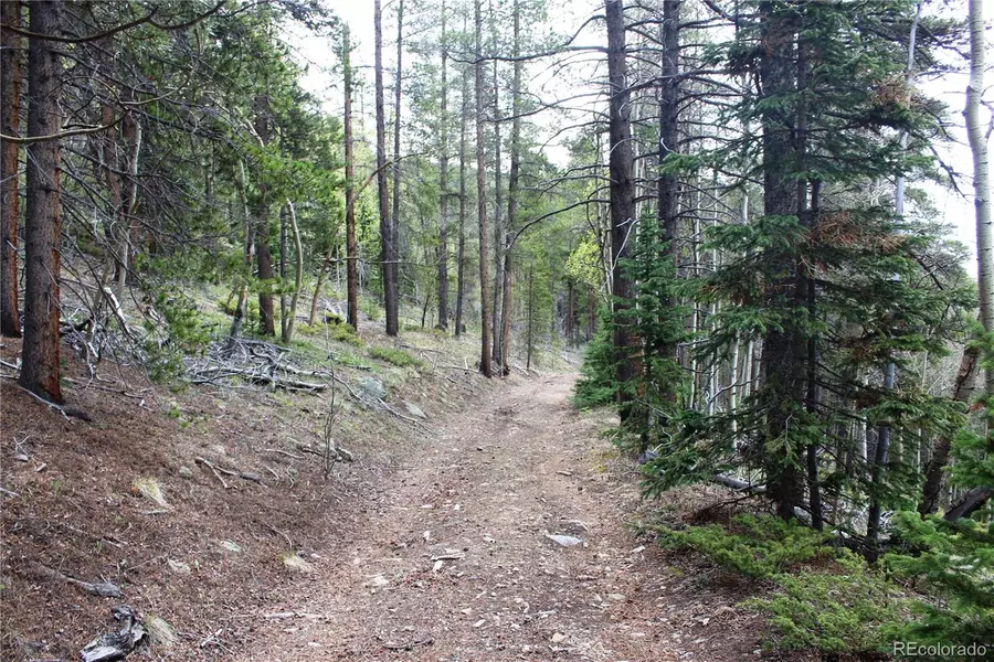 00 Broomfield Gulch RD, Black Hawk, CO 80422