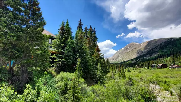 0092 SCR 855, Breckenridge, CO 80424