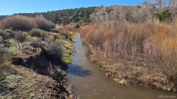 Lot 4471 Ehrenclow RD, Fort Garland, CO 81133