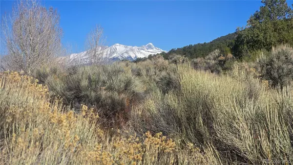 Fort Garland, CO 81133,Lot 4471 Ehrenclow RD