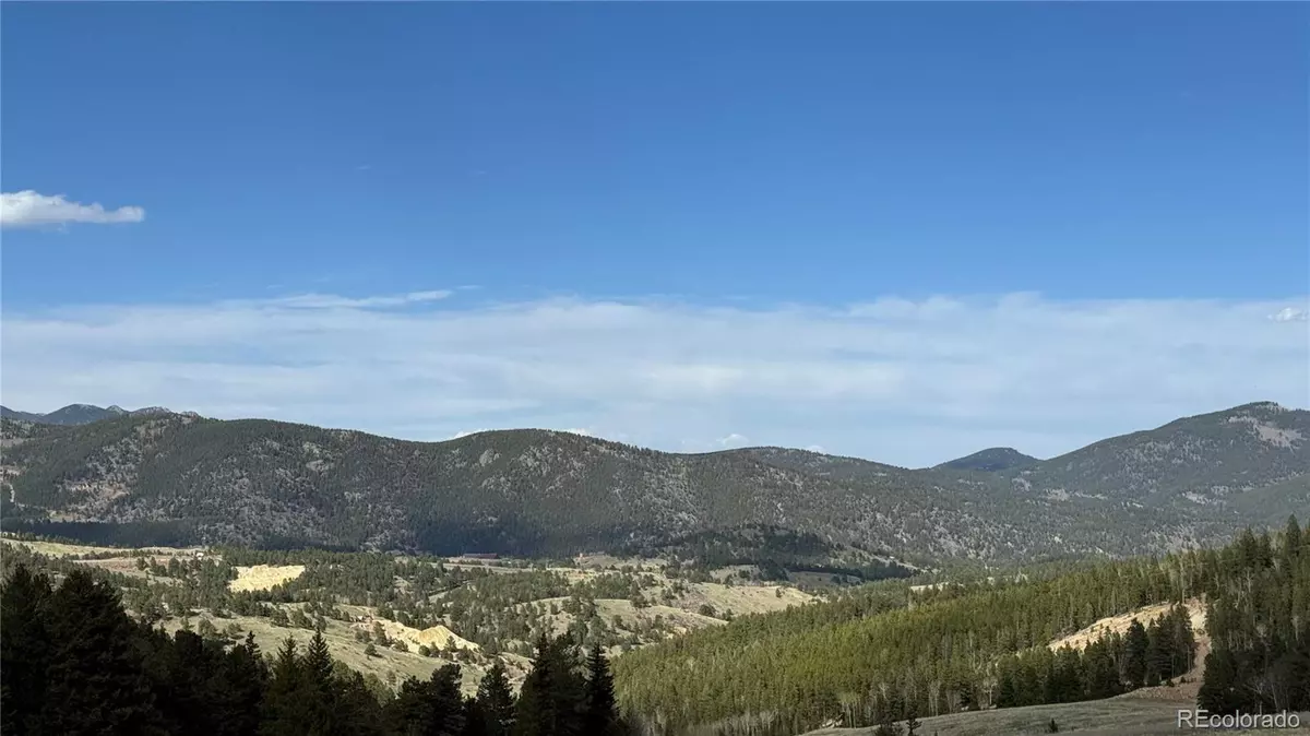 Central City, CO 80427,005 Church Placer RD