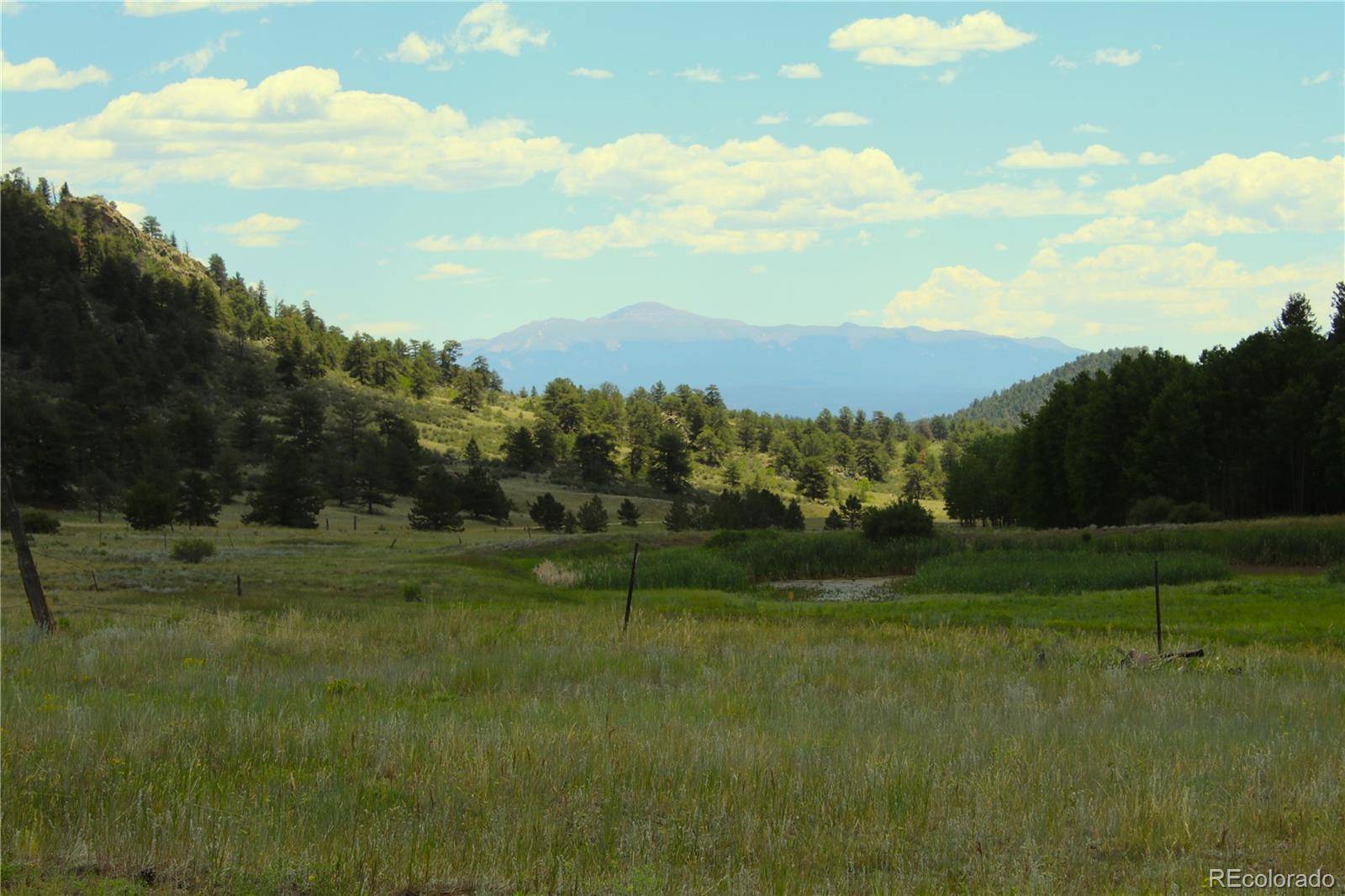 Lake George, CO 80827,340 County Road 90