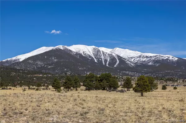 Buena Vista, CO 81211,tbd County Road 365