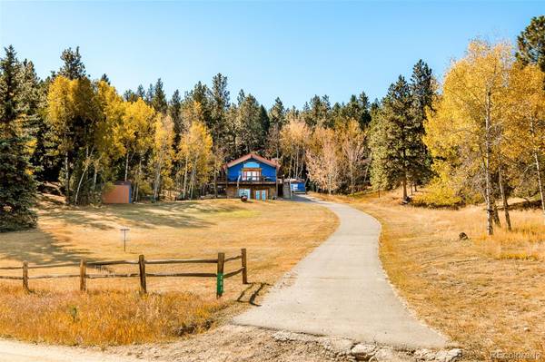 203 Lo Meadow LN, Bailey, CO 80421