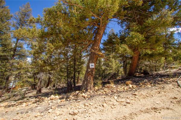 2370 MIDDLE FORK VIS, Fairplay, CO 80440