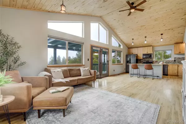 Florissant, CO 80816,163 Big Horn LN