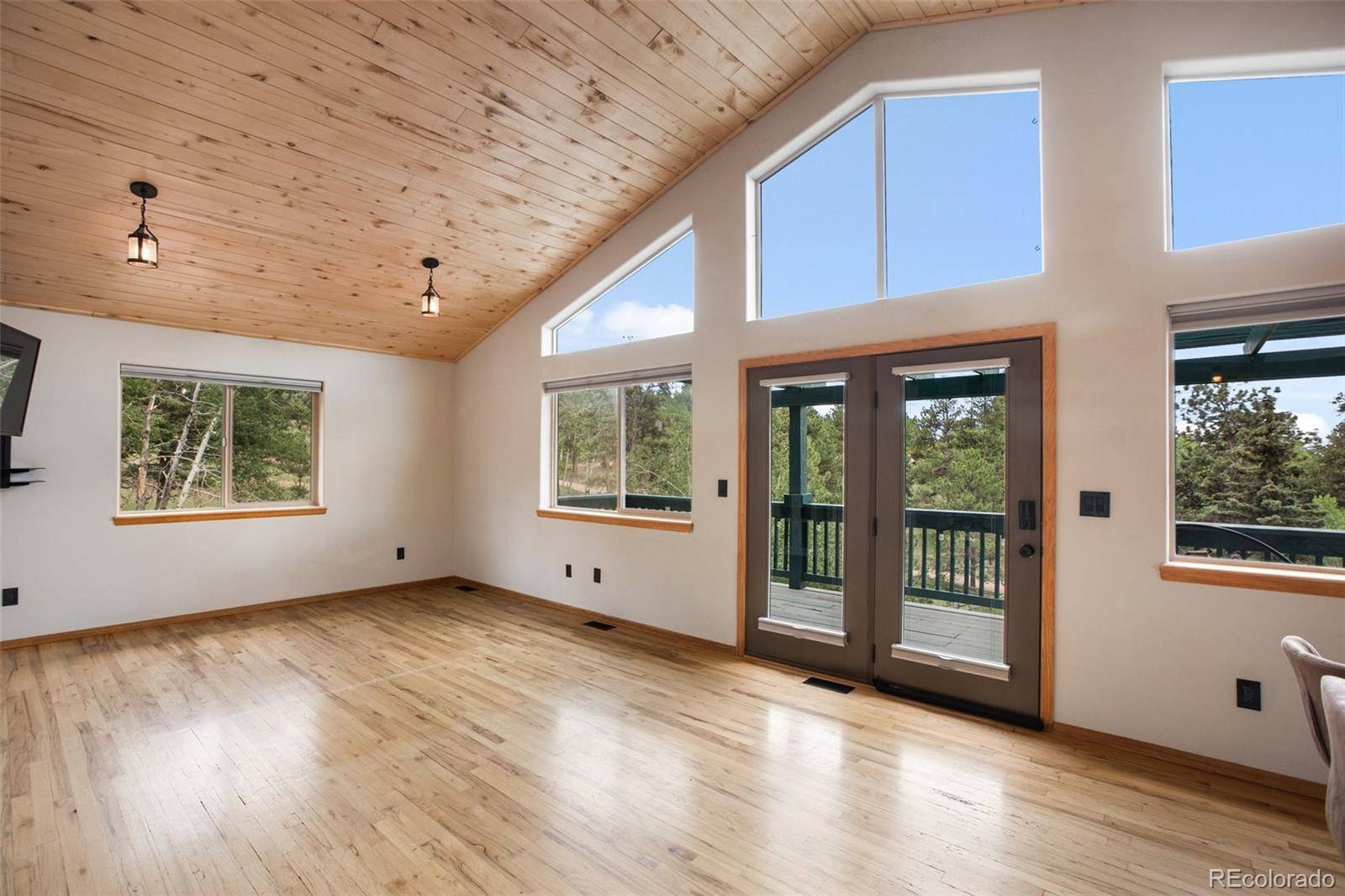 Florissant, CO 80816,163 Big Horn LN