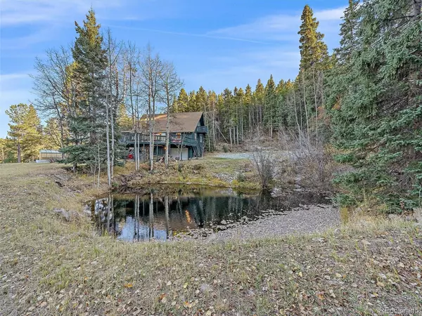 Evergreen, CO 80439,80 Castlewood CT