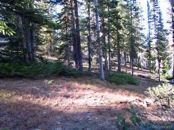 Fairplay, CO 80440,633 Valley Of The Sun DR