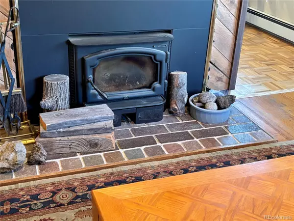 Leadville, CO 80461,1705 Mount Lincoln DR