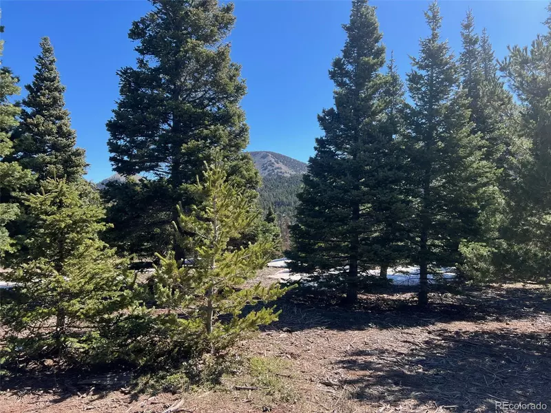 Valley Vista, Cuchara, CO 81055