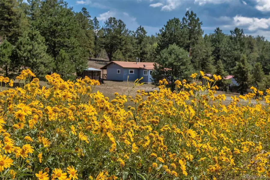 272 Spring Valley TRL, Florissant, CO 80816