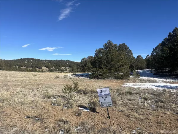 Nathrop, CO 81236,10118 Rawhide Creek RD