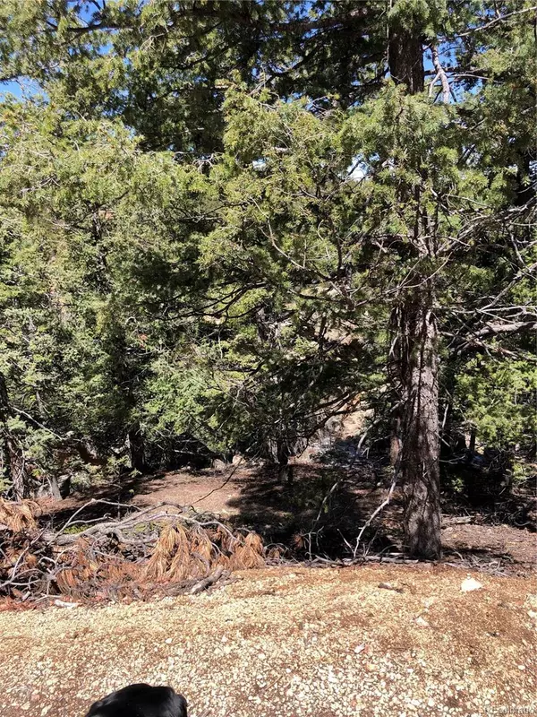 Woodland Park, CO 80863,195 Osoeola RD