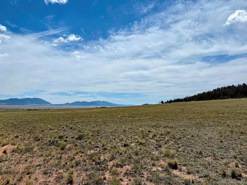 1876 Park RD, Hartsel, CO 80449