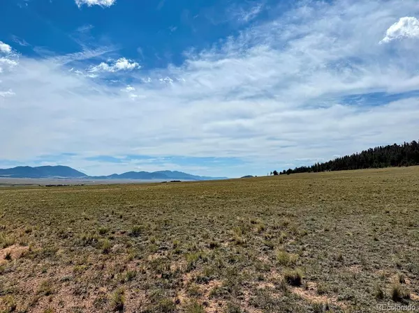 1876 Park RD, Hartsel, CO 80449