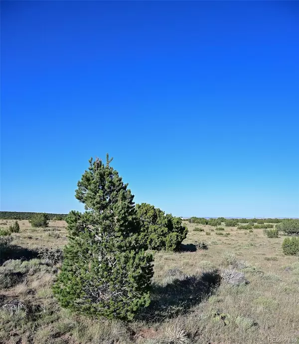 Walsenburg, CO 81089,Culebra BLVD