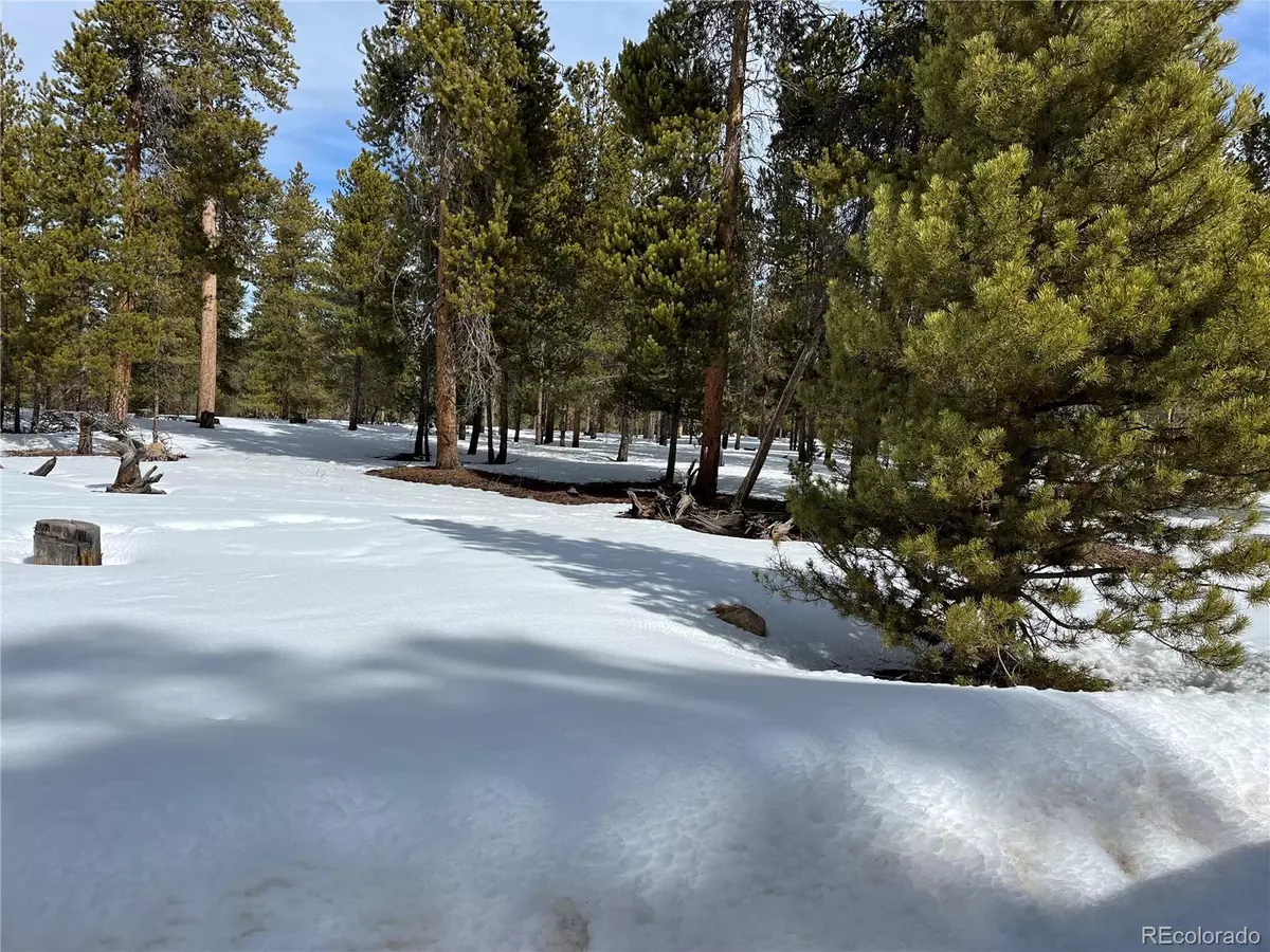 Twin Lakes, CO 81251,Lot 137 Spruce DR