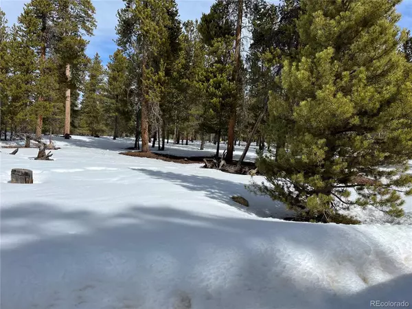 Lot 137 Spruce DR, Twin Lakes, CO 81251