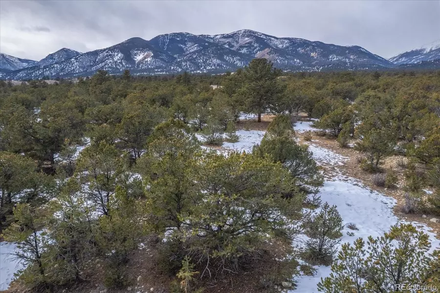 29258 Sage LN, Buena Vista, CO 81211