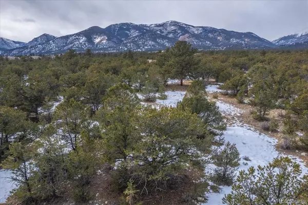 29258 Sage LN, Buena Vista, CO 81211