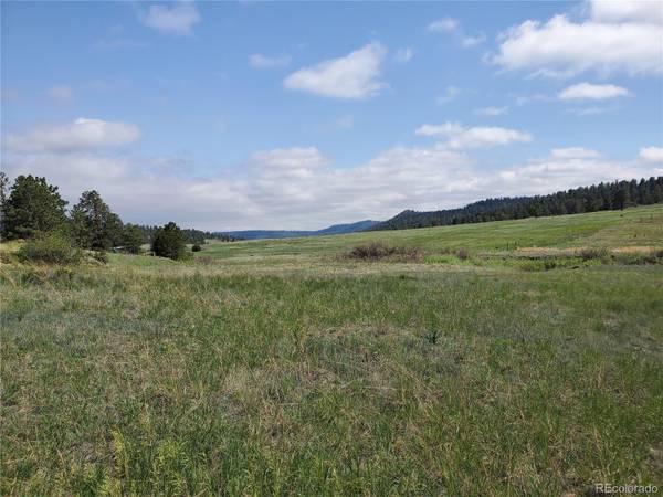 466 Spring Valley DR, Florissant, CO 80816