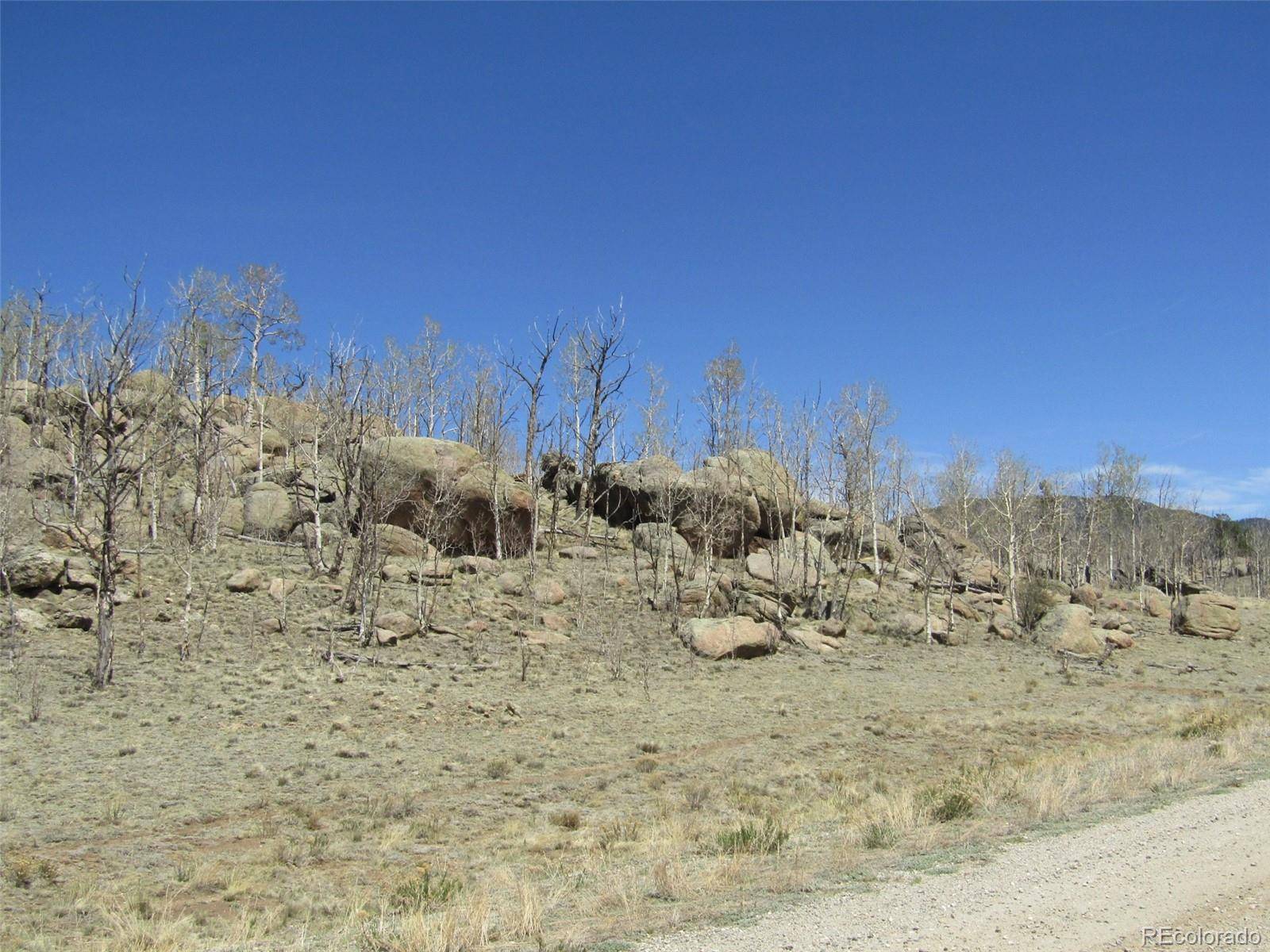 Hartsel, CO 80449,66 Grand Teton DR