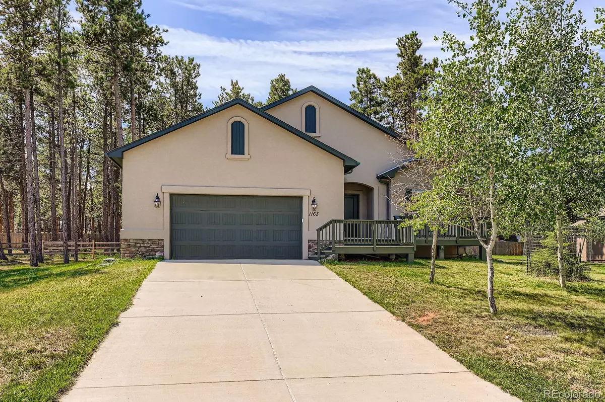 Woodland Park, CO 80863,1163 Ptarmigan DR
