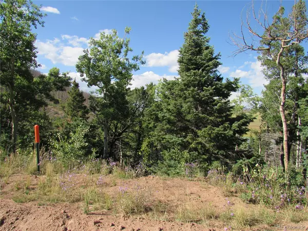 Fort Garland, CO 81133,2348 Benton PL