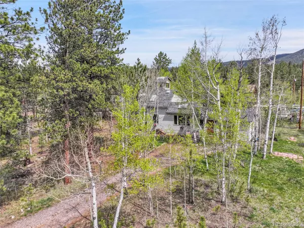 Bailey, CO 80421,101 Campbell RD