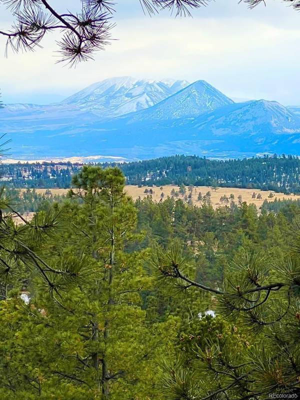 Lot 411 Brittany LN, Westcliffe, CO 81252