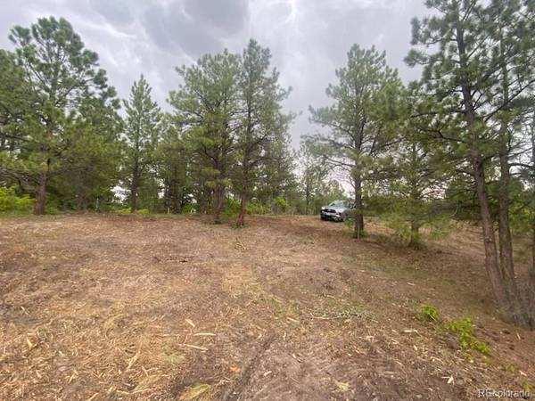 Larkspur, CO 80118,Lot 1 Silverheels DR