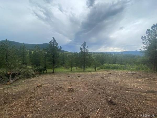 Larkspur, CO 80118,Lot 1 Silverheels DR