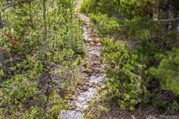 Idaho Springs, CO 80452,Beaver RD