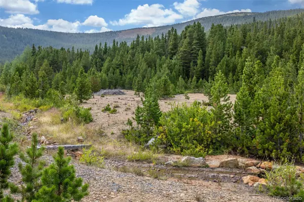 Idaho Springs, CO 80452,Beaver RD