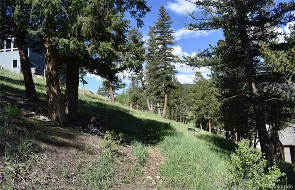 Evergreen, CO 80439,0000 Suncreek DR