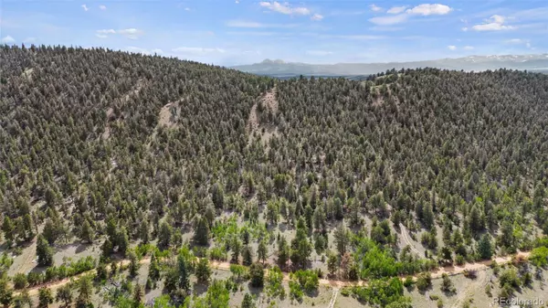 Hartsel, CO 80449,1833 Fitzsimmons DR