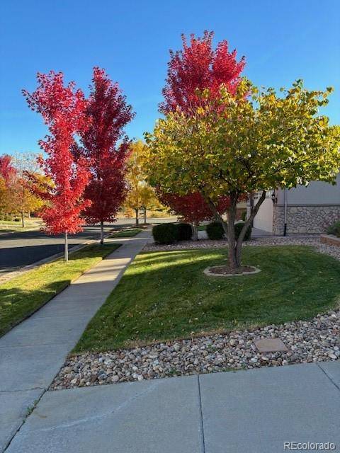 Broomfield, CO 80023,4038 Centennial DR