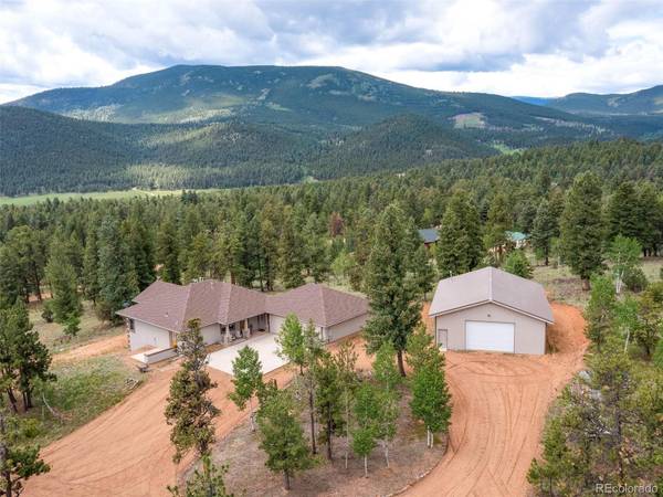 251 Elk Horn CT, Bailey, CO 80421