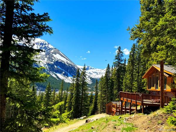 Alma, CO 80420,926 Nuthatch DR