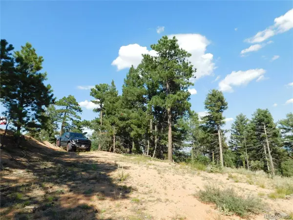 Larkspur, CO 80118,2532 Elk Park RD