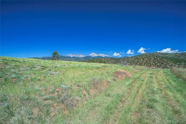 Fort Garland, CO 81133,Joyce RD