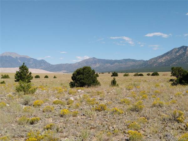 520 Mill Run RD, Mosca, CO 81146