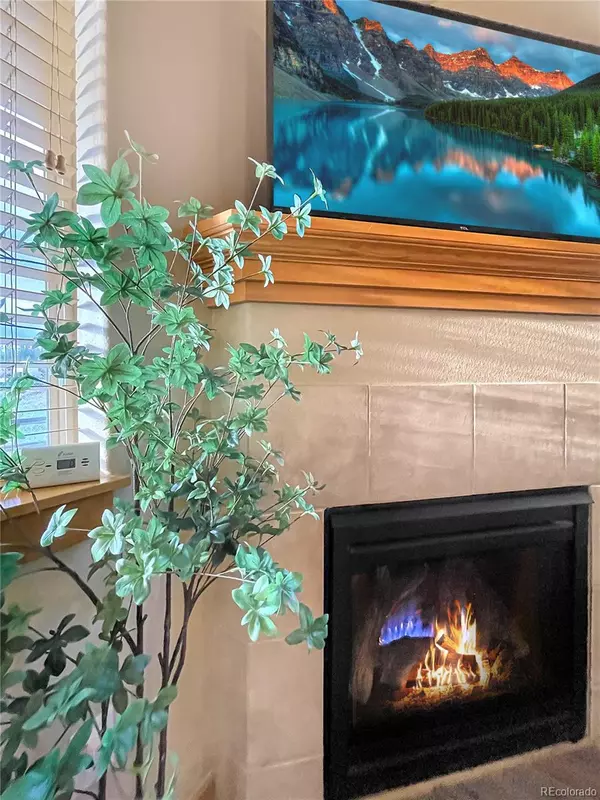 Fraser, CO 80442,180 Sterling LOOP #4014